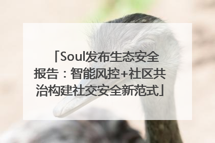 Soul发布生态安全报告：智能风控+社区共治构建社交安全新范式